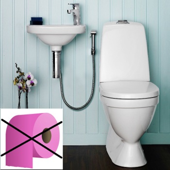 Используйте смеситель с гигиеническим душем и туалетная бумага Вам больше не нужна.