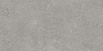 30х60 Newcon Серебристо-серый Матовый ректифицированный R10A