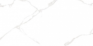25х50 Elemento Bianco Carrara WT9ELT00
